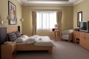 Interior Designers in Siliguri